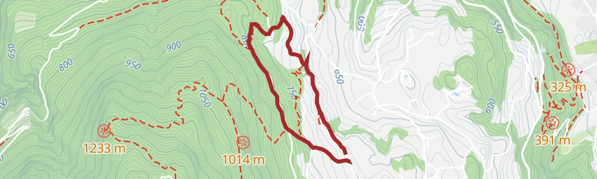 Route map: Sentiero didattico sul castagno